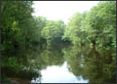 Tansley Pond